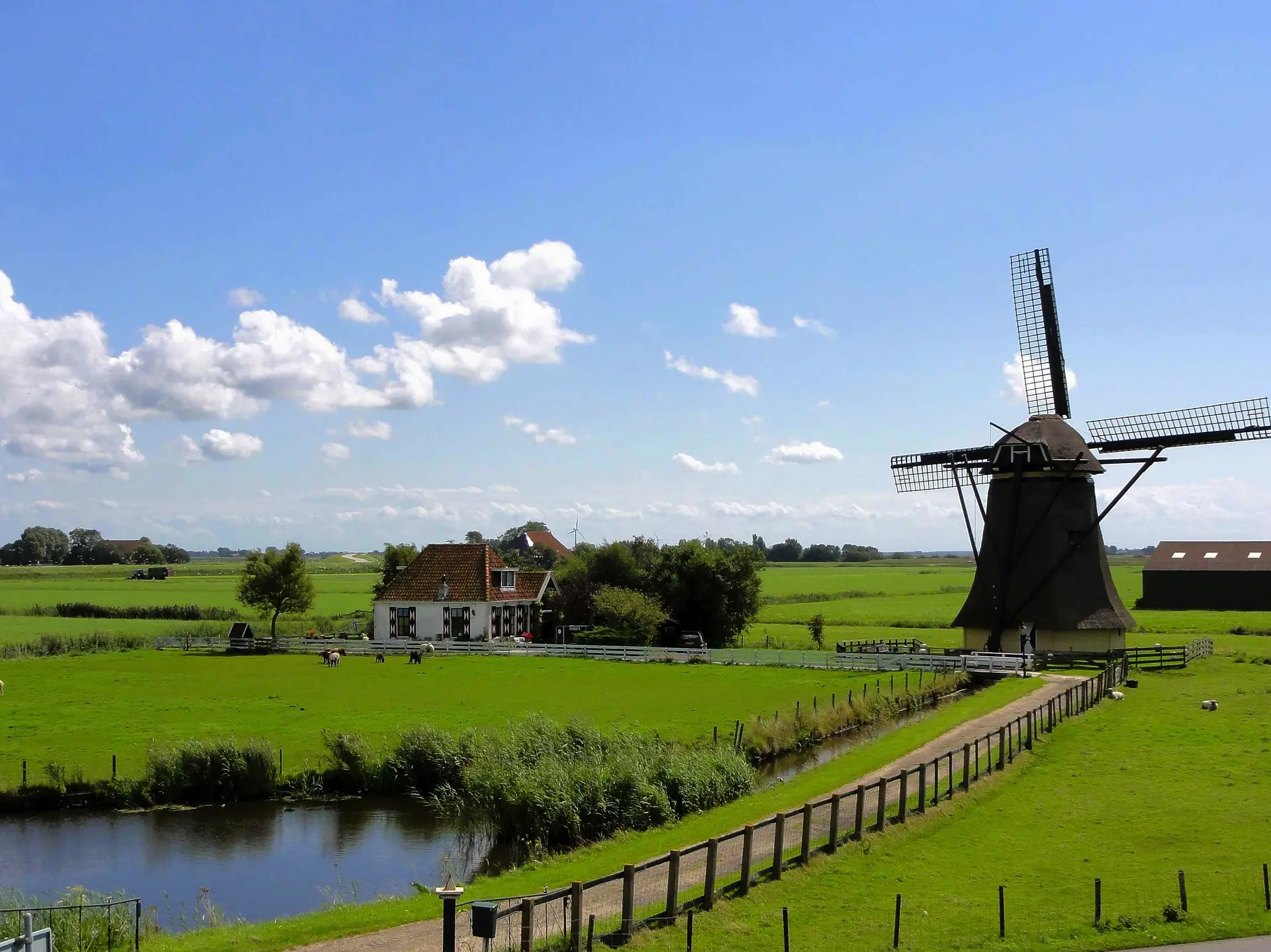 Netherlands Work Visa